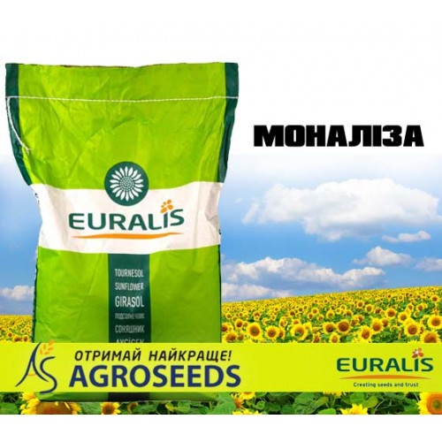 Гібрид соняшника Euralis ЕС Моналіза