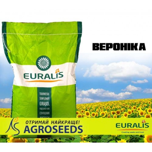 Гібрид соняшника Euralis ЕС Вероніка