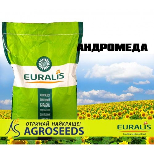 Гібрид соняшника Euralis ЕС Андромеда