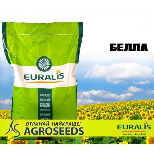 Гібрид соняшника Euralis ЕС Белла