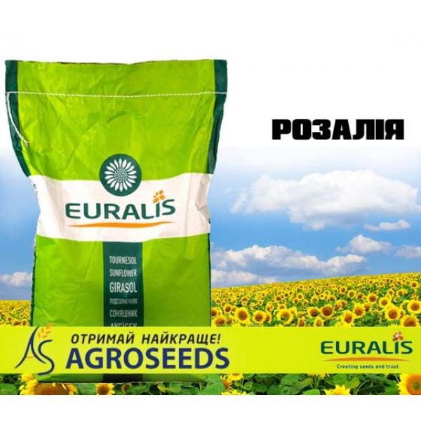 Гібрид соняшника Euralis ЕС Розалія