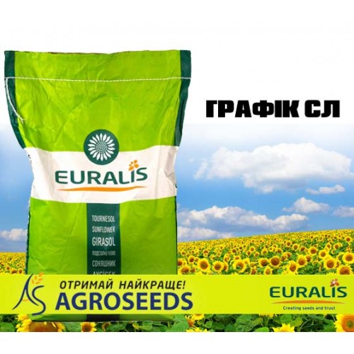 Гібрид соняшника Euralis ЕС Графік СЛ