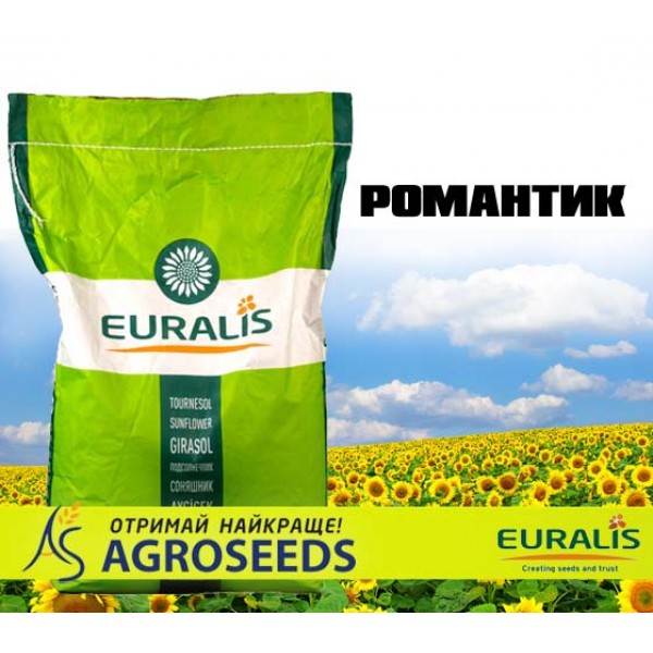 Гібрид соняшника Euralis ЕС Романтик
