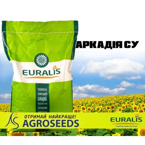 Гібрид соняшника Euralis ЕС Аркадія СУ