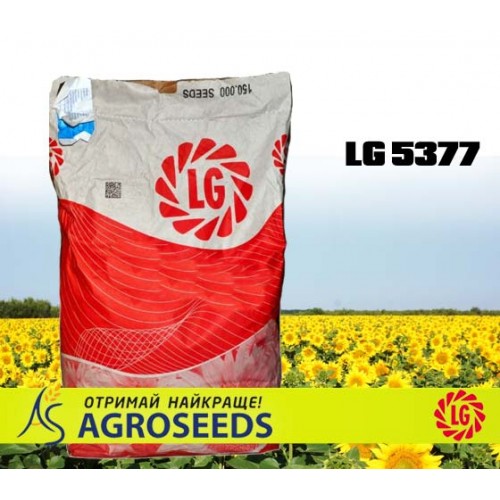 Гібрид соняшника Limagrain LG 5377