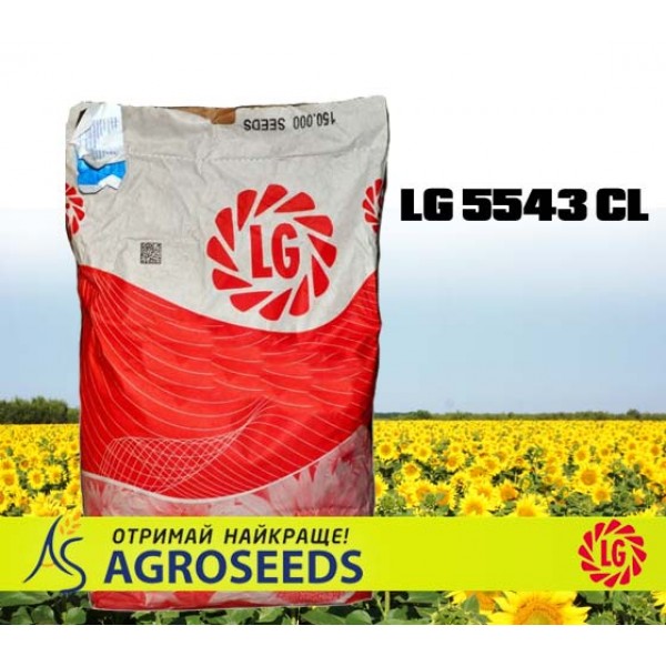 Гібрид соняшника Limagrain LG 5543 CL