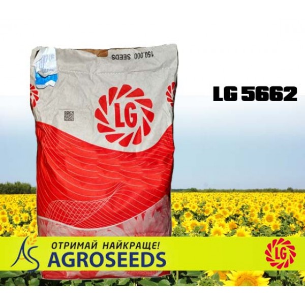 Гібрид соняшника Limagrain LG 5662