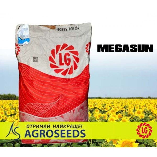 Гібрид соняшника Limagrain MEGASUN
