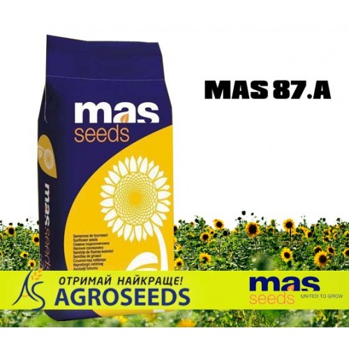 Гібрид соняшника Masseeds Mas 87.A