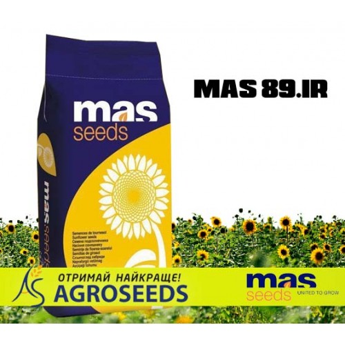 Гібрид соняшника Masseeds Mas 89.IR