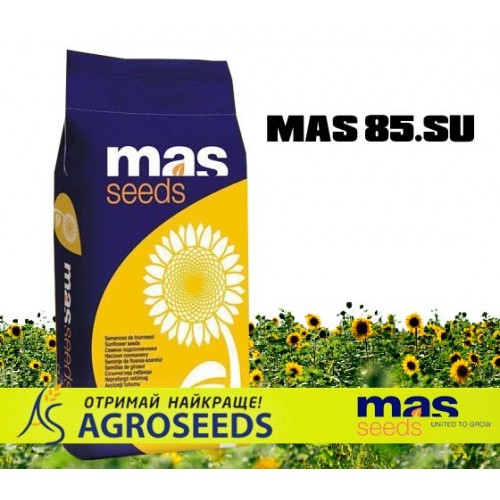 Гібрид соняшника Masseeds Mas 85.SU