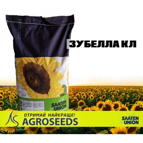 Гібрид соняшнику ЗУБЕЛЛА КЛ