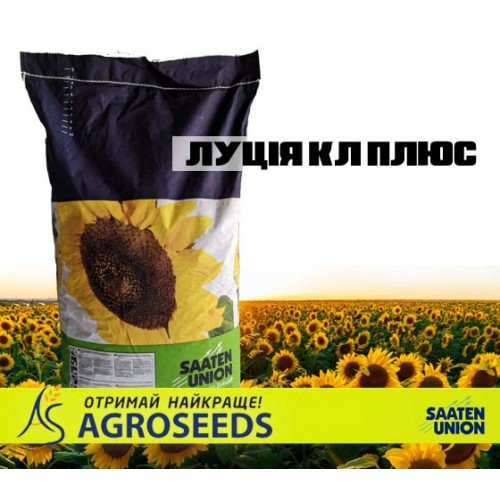 Гібрид соняшнику ЛУЦІЯ КЛ ПЛЮС