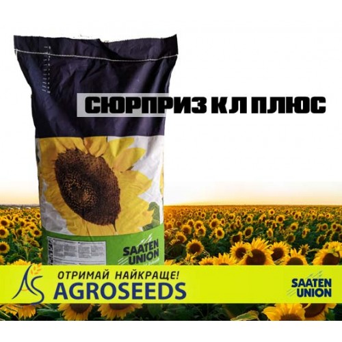Гібрид соняшнику СЮРПРИЗ КЛ ПЛЮС