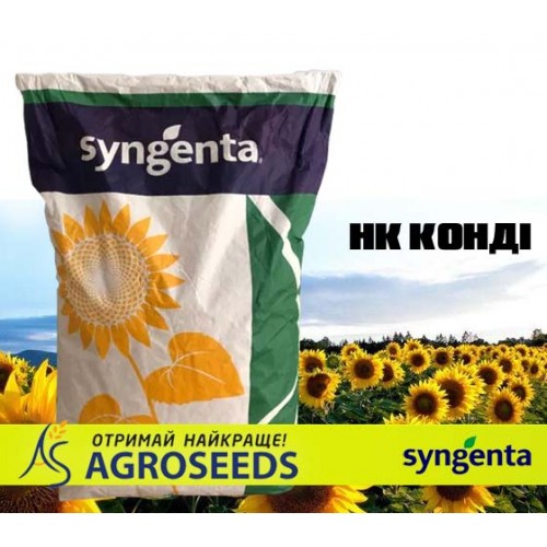 Гібрид соняшнику Syngenta «НК Конді»