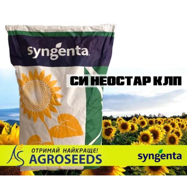 Гібрид соняшнику Syngenta «СИ Неостар КЛП»