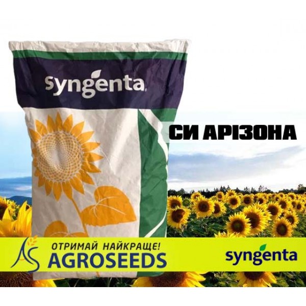 Гібрид соняшнику Syngenta «СИ Арізона»