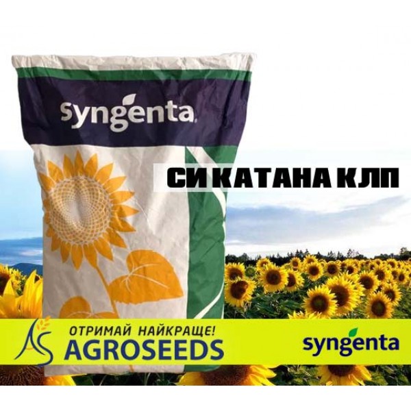 Гібрид соняшнику Syngenta «СИ Катана КЛП»
