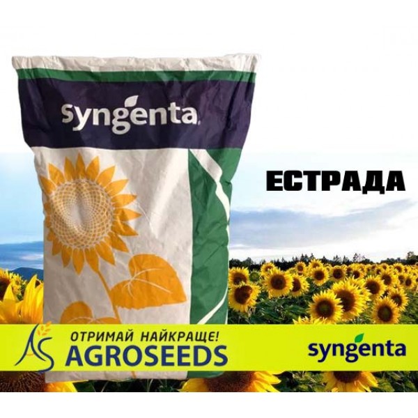 Гібрид соняшнику Syngenta «Естрада»
