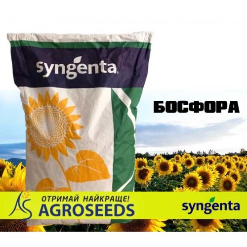 Гібрид соняшнику Syngenta «Босфора»