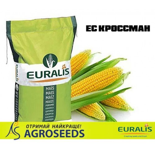 Гібрид кукурудзи Euralis ЕС Кроссман