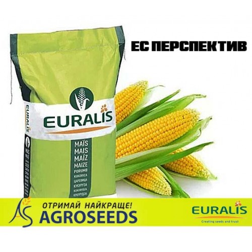 Гібрид кукурудзи Euralis ЕС Перспектив