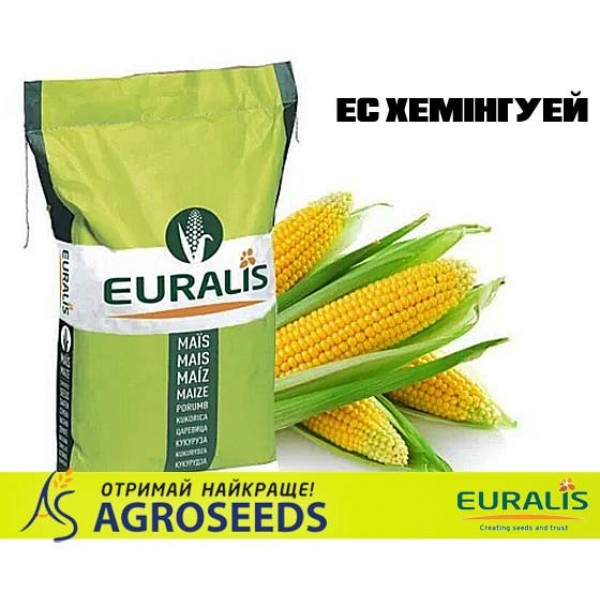 Гібрид кукурудзи Euralis ЕС Хемінгуей