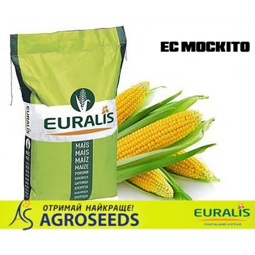 Гібрид кукурудзи Euralis ЕС Москіто