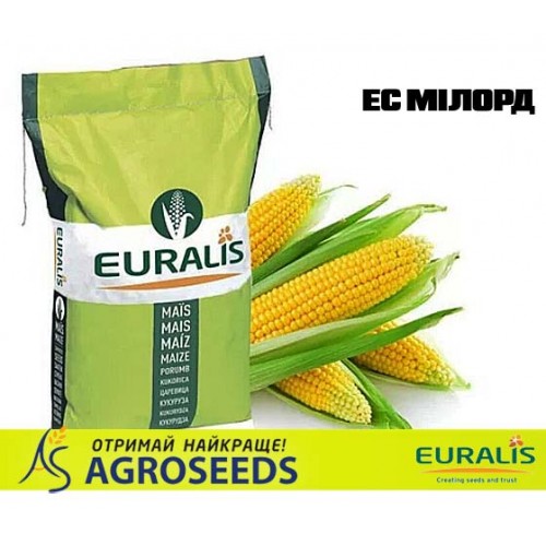 Гібрид кукурудзи Euralis ЕС Мілорд