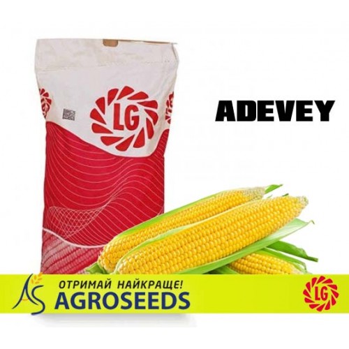 Гібрид кукурудзи Limagrain Adevey