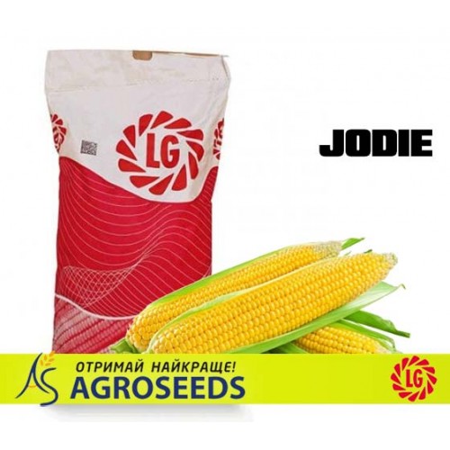 Гібрид кукурудзи Limagrain Jodie