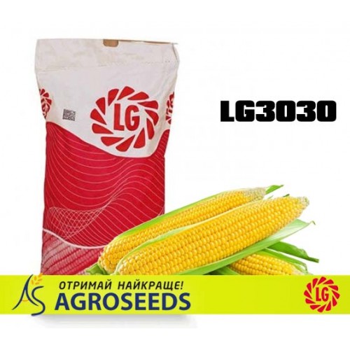 Гібрид кукурудзи Limagrain LG30308