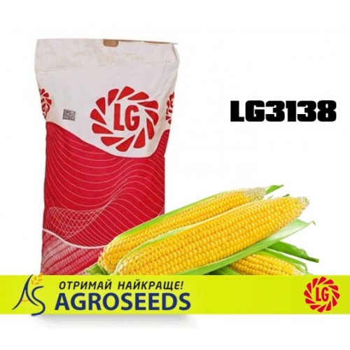 Гібрид кукурудзи Limagrain LG31388