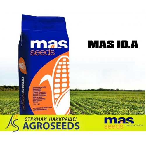 Гібрид кукрудзи Masseeds Mas 10.A