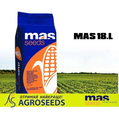 Гібрид кукрудзи Masseeds Mas 18.L