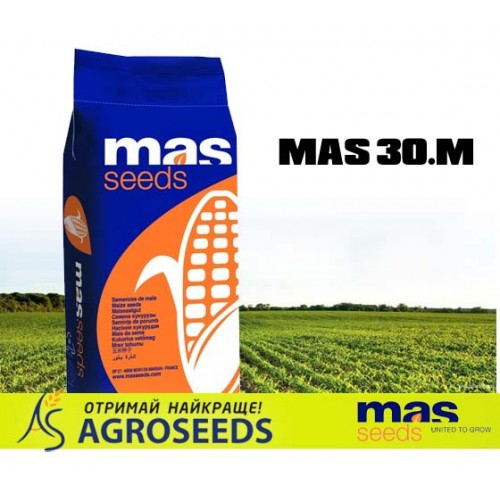 Гібрид кукрудзи Masseeds Mas 30.M