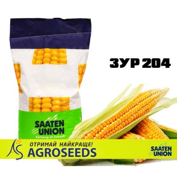 Гібрид кукурудзи ЗУР 204