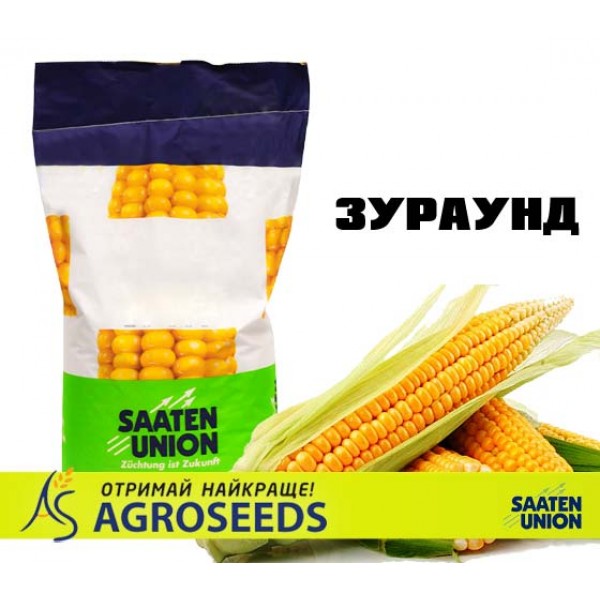 Гібрид кукурудзи ЗУРАУНД
