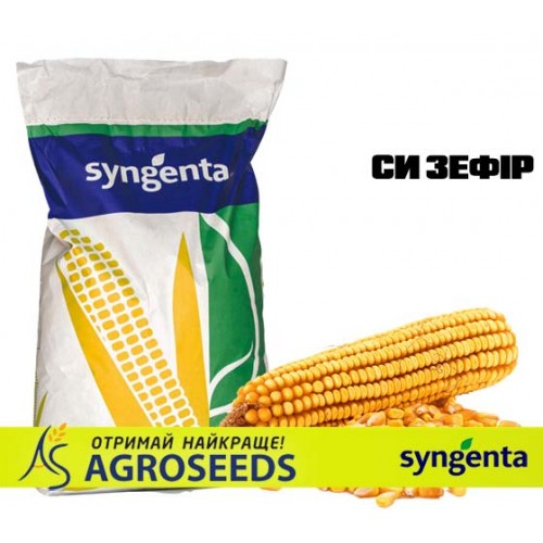 Гібрид кукурудзи Syngenta «СИ Зефір»