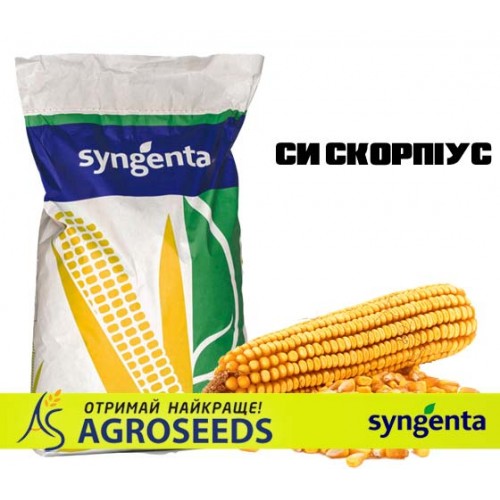 Гібрид кукурудзи Syngenta «СИ Скорпіус»