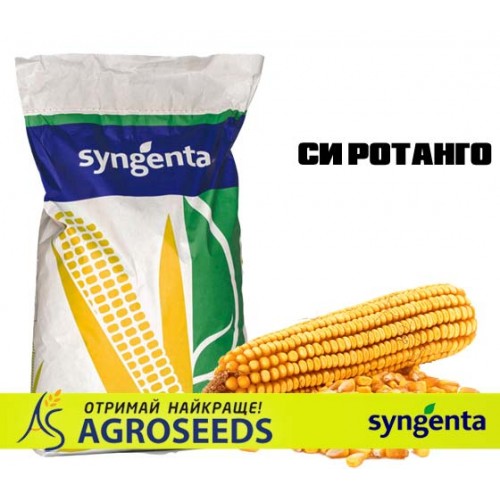 Гібрид кукурудзи Syngenta «СИ Ротанго»