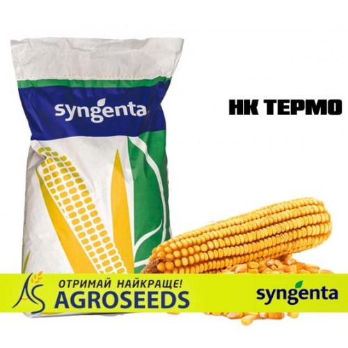 Гібрид кукурудзи Syngenta «НК Термо»