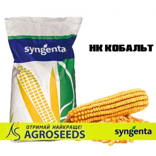 Гібрид кукурудзи Syngenta «НК Кобальт»