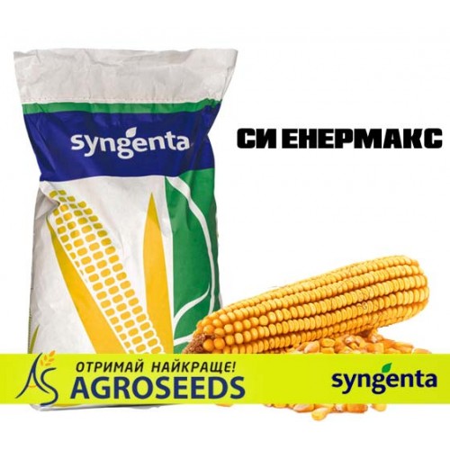 Гібрид кукурудзи Syngenta «СИ Енермакс»